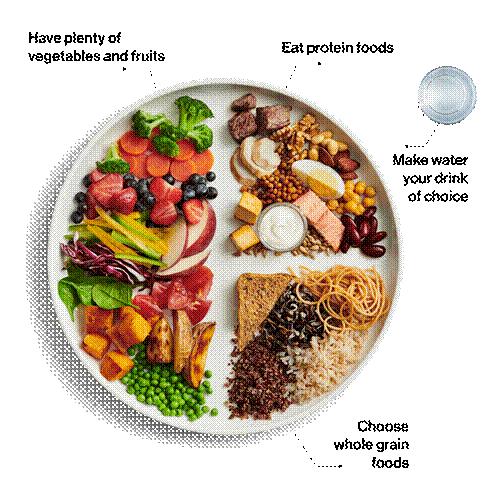 Canada Food Guide CFG plate shows half the plate with vegetables and fruit, one quarter of the plate with protein foods and one quarter of the plate with whole grain foods. Water is the drink of choice.