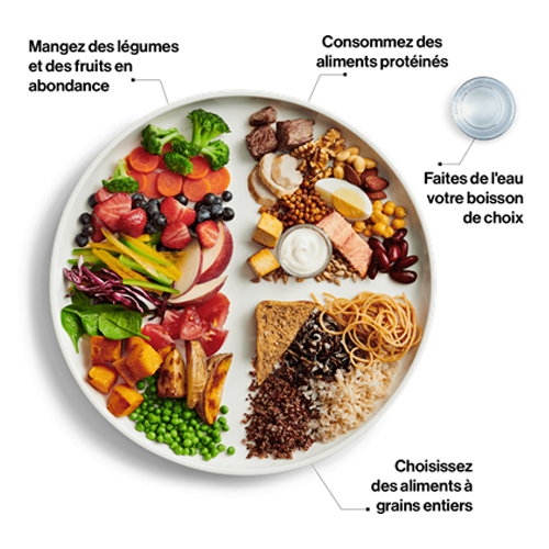 L’assiette du GAC est constituée à moitié de légumes et de fruits, à un quart d’aliments protéinés et à un quart d’aliments à grains entiers. L’eau est la boisson de choix. 