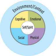 Figure 1. Stepping Stones: A Resource on Youth Development depicts the cognitive, emotional, social and physical domains of youth development as a circle which demonstrates that these domains are interconnected and that both context and a person's sense of self matter.
