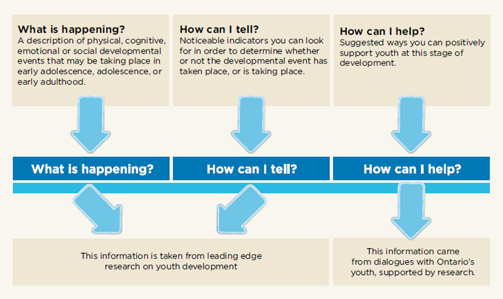 Developmental maps early adolescence Stepping stones ontario