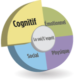 Image d’un cercle divisé en quatre sections égales ayant chacune une couleur différente, avec un cercle plus petit au centre. Chaque section représente les différents domaines du développement humain : cognitif (en jaune, en haut à gauche), émotionnel (en vert, en haut à droite), social (en bleu, en bas à gauche) et physique (en violet, en bas à droite). Pour bien matérialiser le thème évoqué, la section qui correspond au développement cognitif est un peu plus grande que les trois autres.
