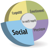 Image d’un cercle divisé en quatre sections égales ayant chacune une couleur différente, avec un cercle plus petit au centre. Chaque section représente les différents domaines du développement humain : cognitif (en jaune, en haut à gauche), émotionnel (en vert, en haut à droite), social (en bleu, en bas à gauche) et physique (en violet, en bas à droite). Pour bien matérialiser le thème évoqué, la section qui correspond au développement social est un peu plus grande que les trois autres.